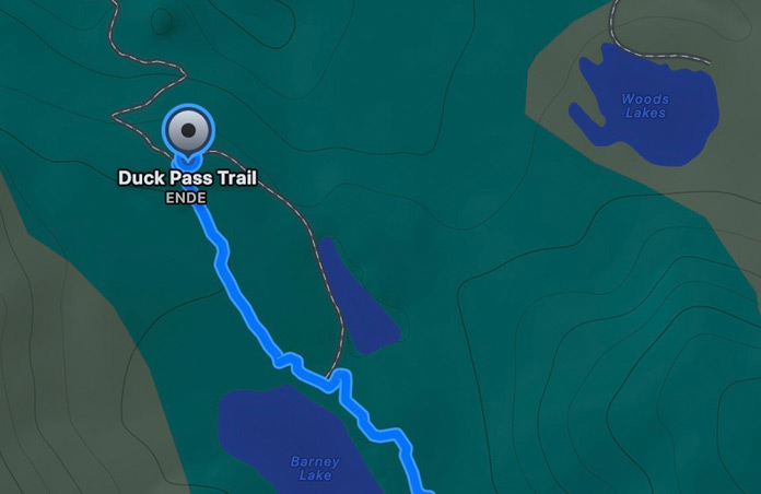 Karte mit eigener Route, geschätzte Zeit und Distanz zum gepinnten Standort
