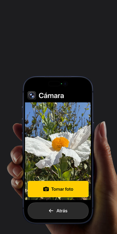 Pantalla de un iPhone 17 Pro que muestra la interfaz simplificada de la app Cámara con una flor blanca en el encuadre, el botón Hacer Foto y el botón Atrás
