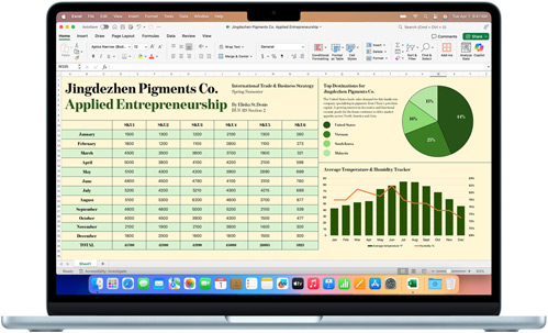 Microsoft Excel app shown on a MacBook Air