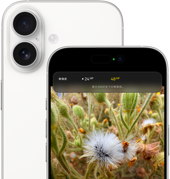 ホワイトのiPhone 17の背面の外観、丸みを帯びた四隅。左上の隅にDual Fusionカメラシステムがある。前面の外観、Dynamic Island、丸みを帯びた四隅